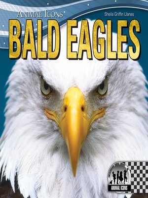 cover image of Bald Eagles